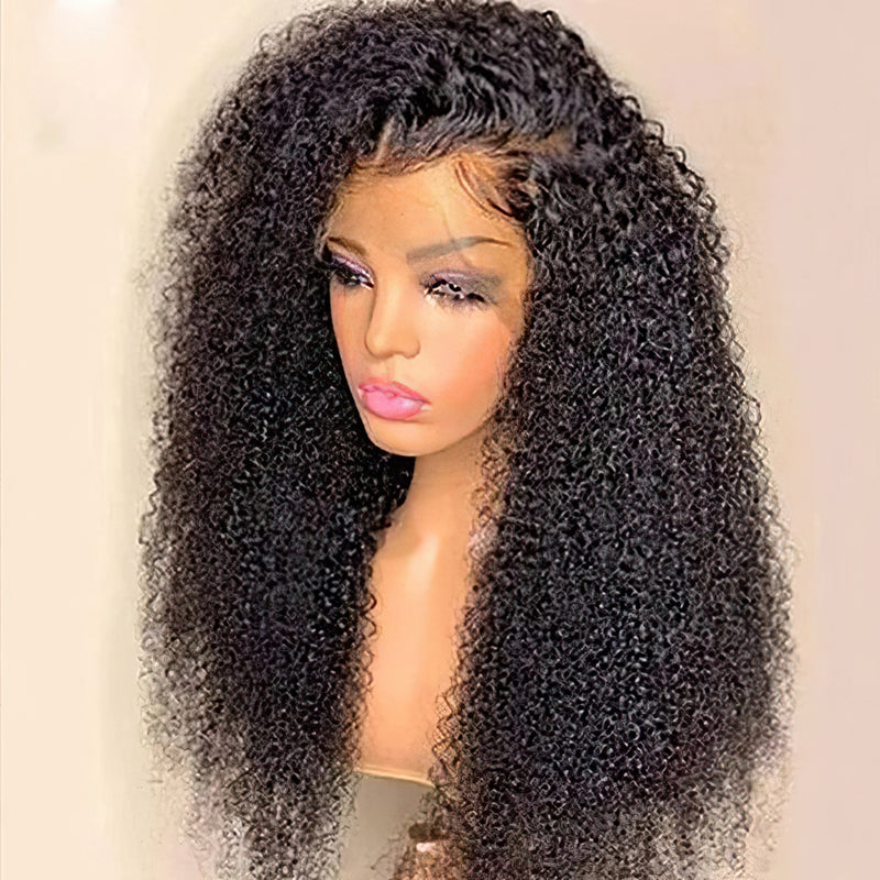 360 Lace Frontal Wig Pre Plucked Curly Lace Front Wig For Black Women